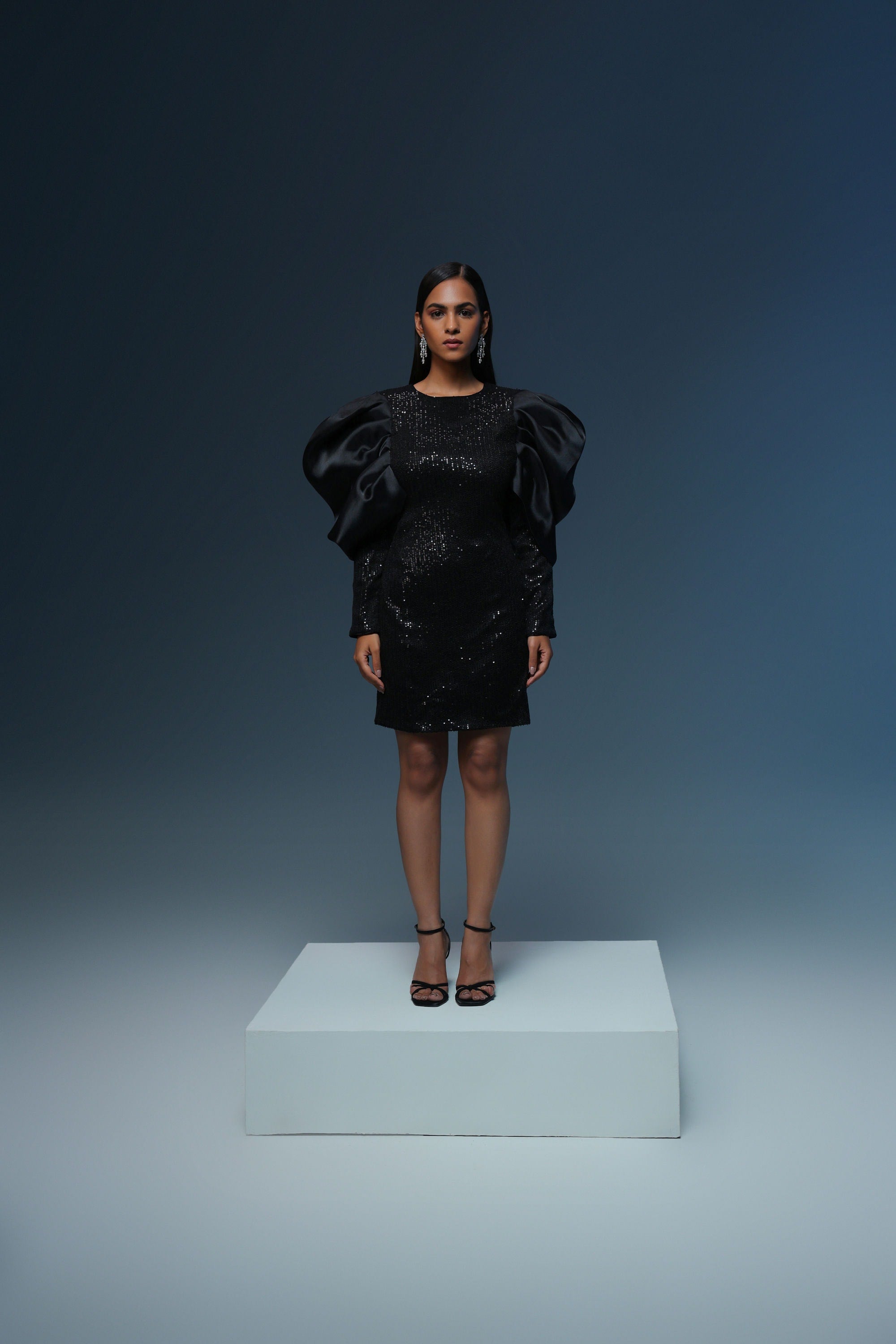 BLACK SEQUIN ORGANZA SLEEVES DRESS