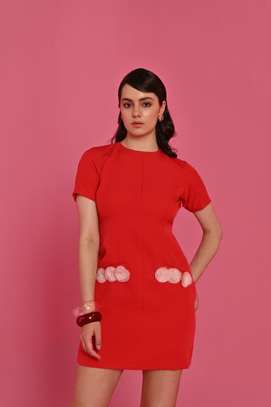RUBY GARDEN DRESS