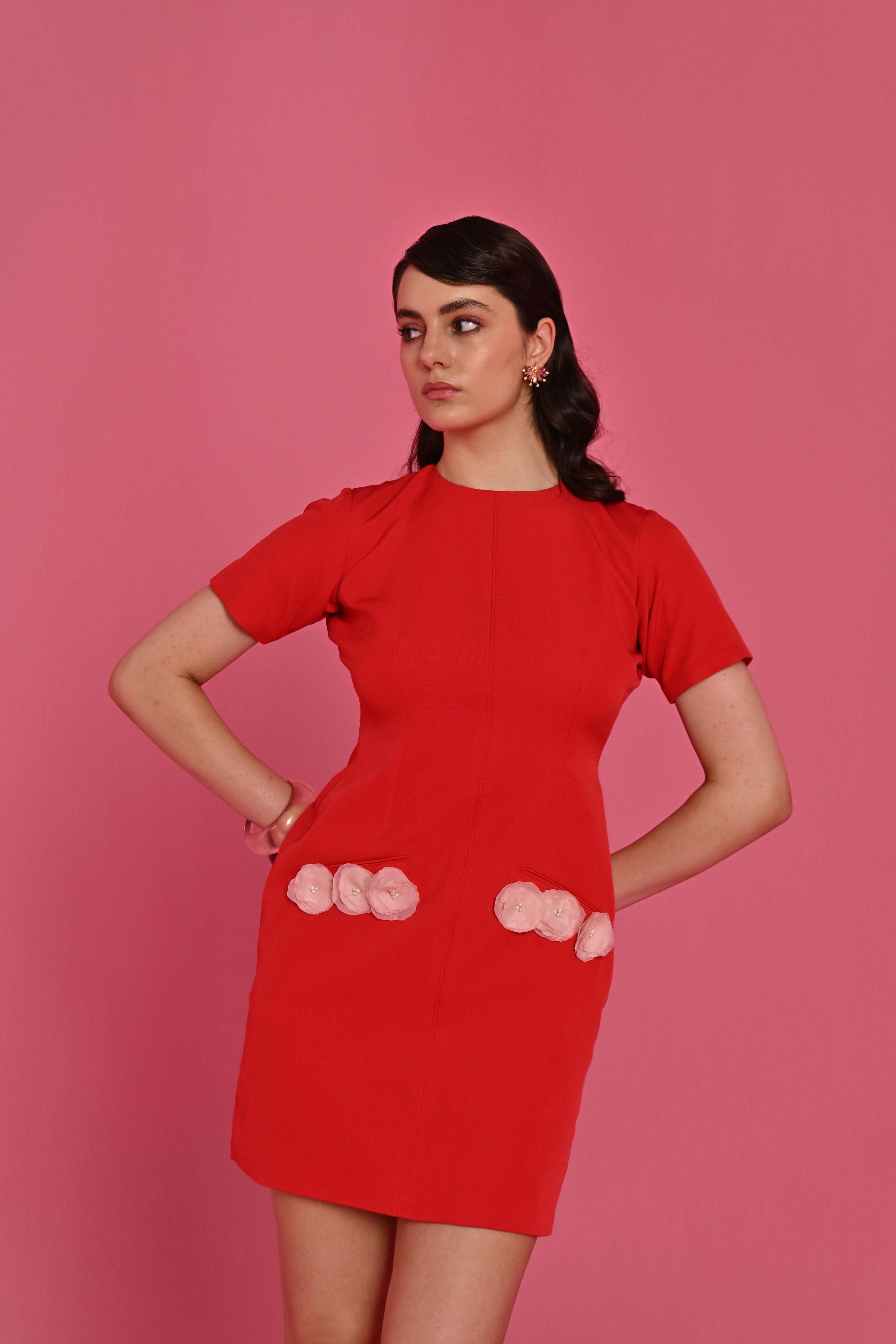 RUBY GARDEN DRESS