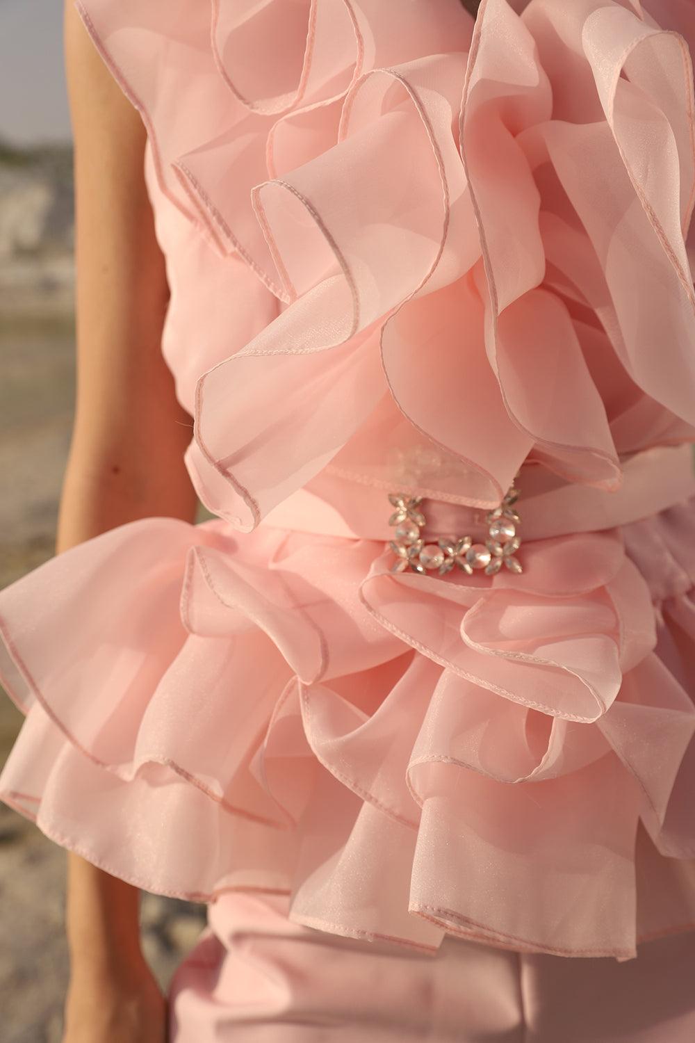 BLUSH ORGANZA CO-ORD SET - LabelIris